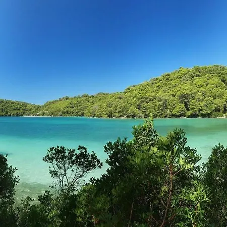 Guesthouse Pomena 게스트하우스 4*